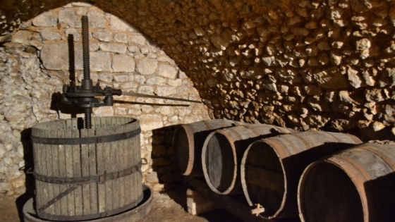 Cmo_es_la_elaboracin_de_un_vino_