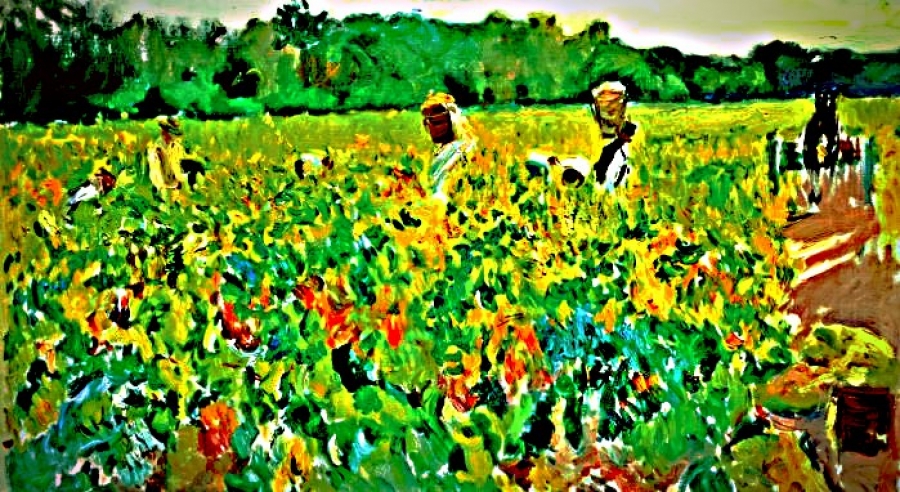 Cómo es el proceso de elaboración del vino