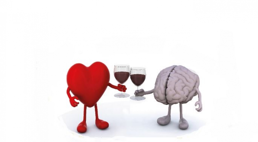 ¿Es bueno tomar Vino?