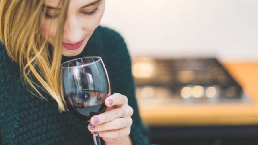 Experto en Enoturismo, una nueva profesión