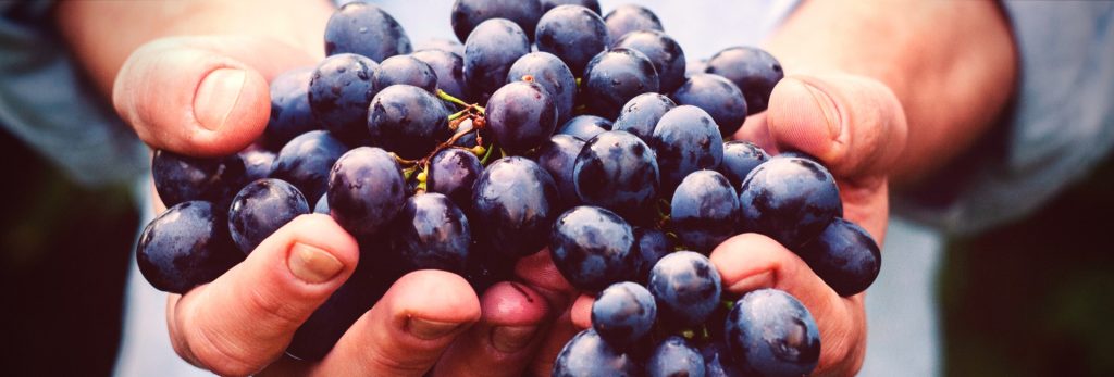 Factores ambientales del vino