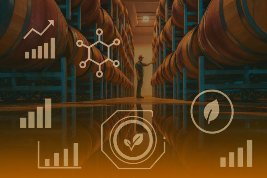 Innovación tecnológica en la elaboración del vino