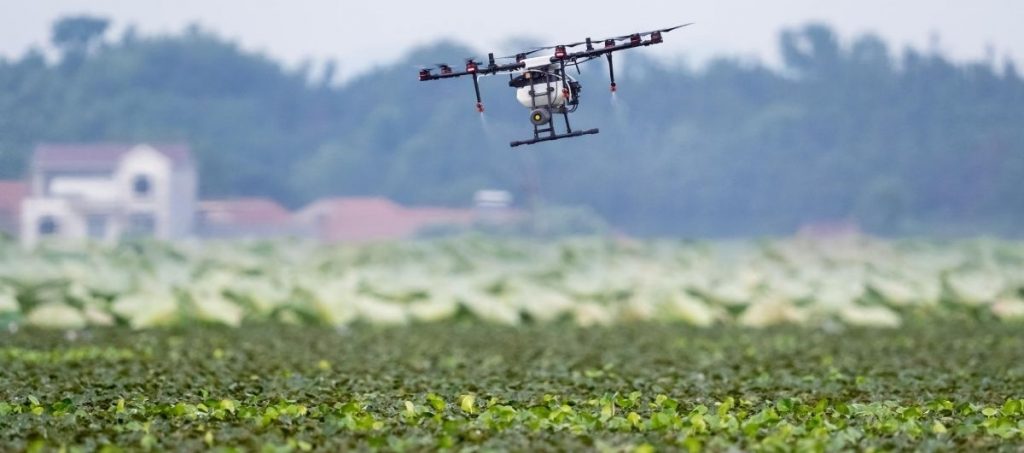 Las_oportunidades_profesionales_de_la_transformacin_del_Sector_Agrario