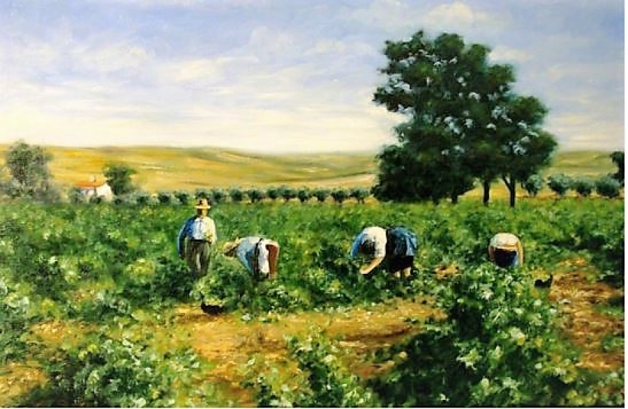 Los tipos de vendimia