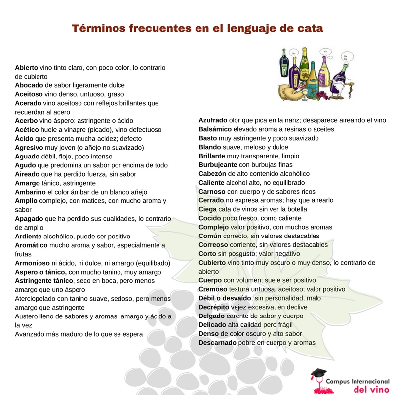 Términos de cata de vino