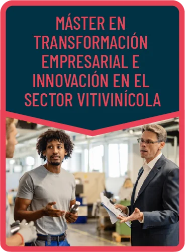 Máster en Transformación Empresarial e Innovación en el Sector Vitivinícola
