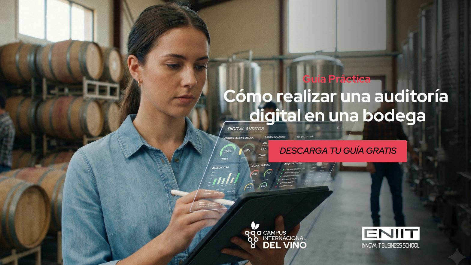 Guía practica Cómo realizar una auditoría digital en una bodega