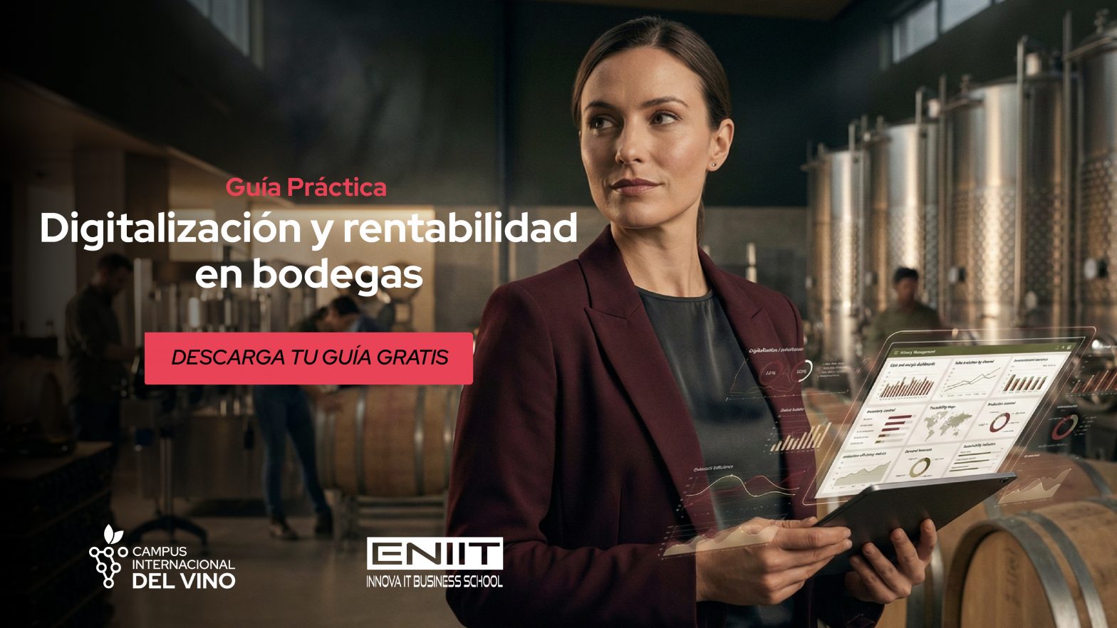 Guía practica Digitalización y rentabilidad en bodegas